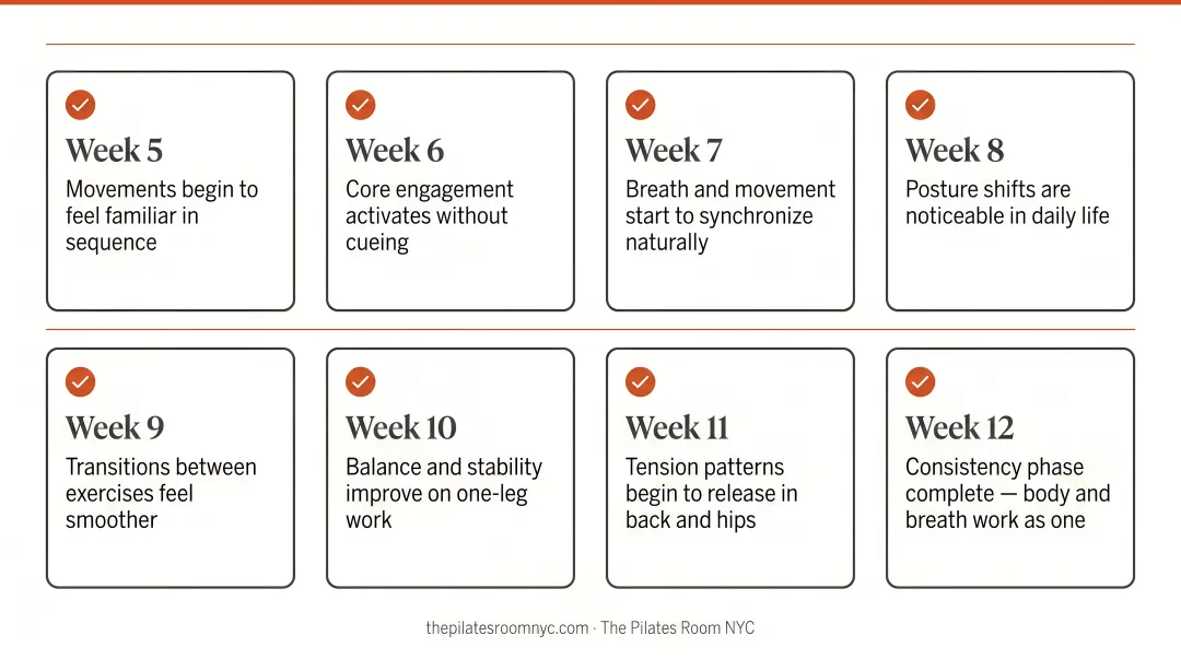 Beginner Pilates progress signs weeks 5 through 12 consistency phase checklist