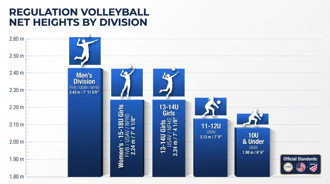 Regulation volleyball net height chart by division gender and age group FIVB USAV NFHS standards