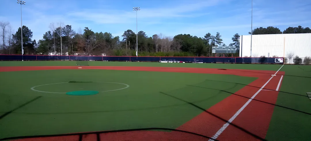 Sports Complexes & Athletic Programs
