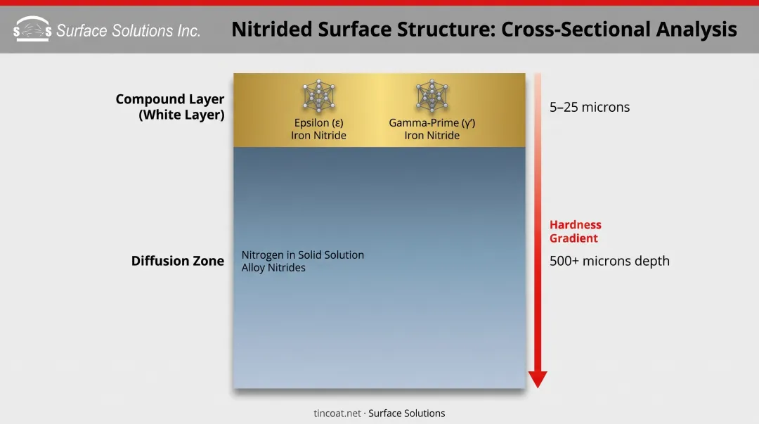 Iron nitride coating cross-section showing compound layer and diffusion zone structure diagram