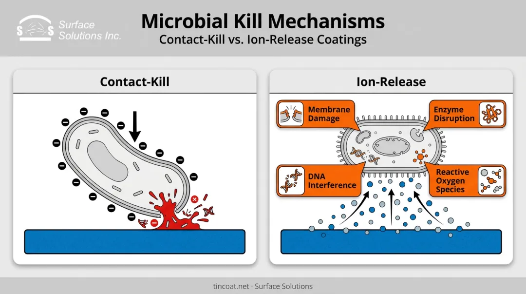 Contact-kill versus ion-release bacterial membrane disruption mechanism diagram