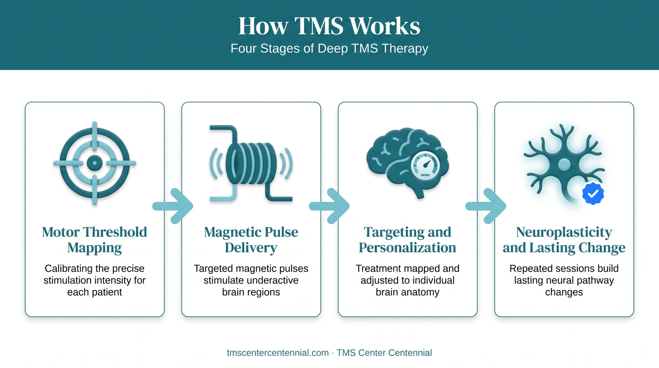 TMS treatment sequence from motor threshold mapping to neuroplastic change