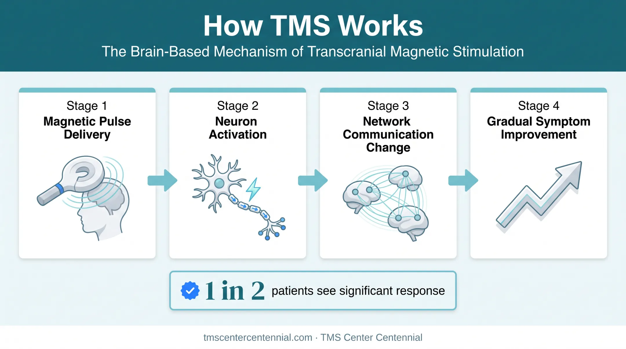 TMS brain network stimulation process from first session to results