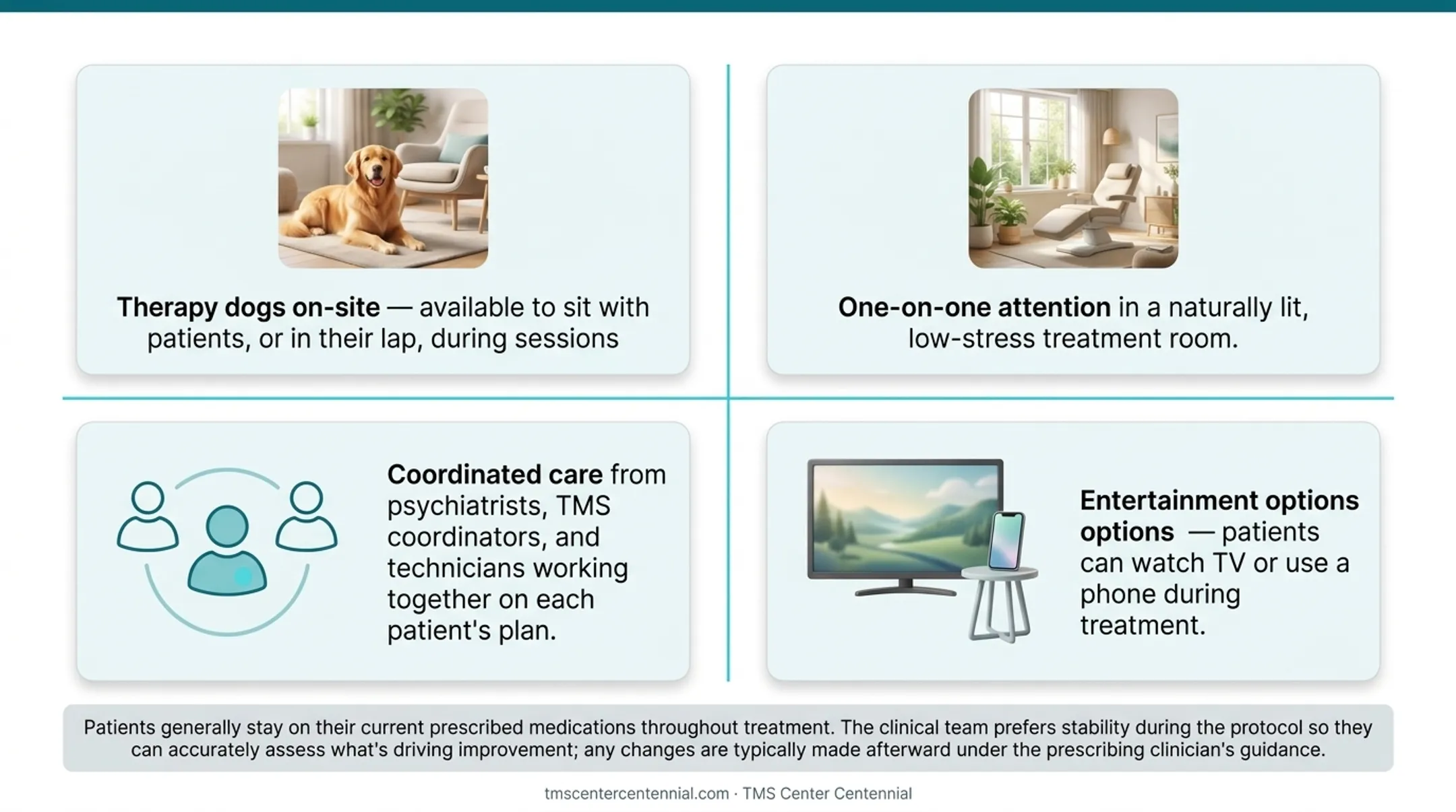 TMS treatment room with therapy dog and comfortable patient chair setup