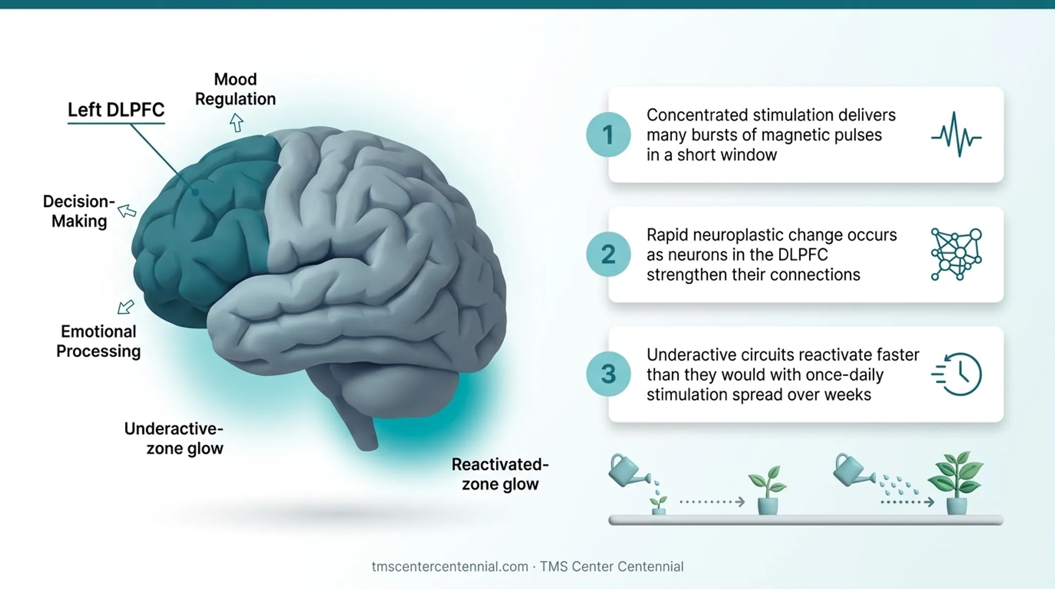 Three-step neuroplasticity process of accelerated theta burst brain stimulation