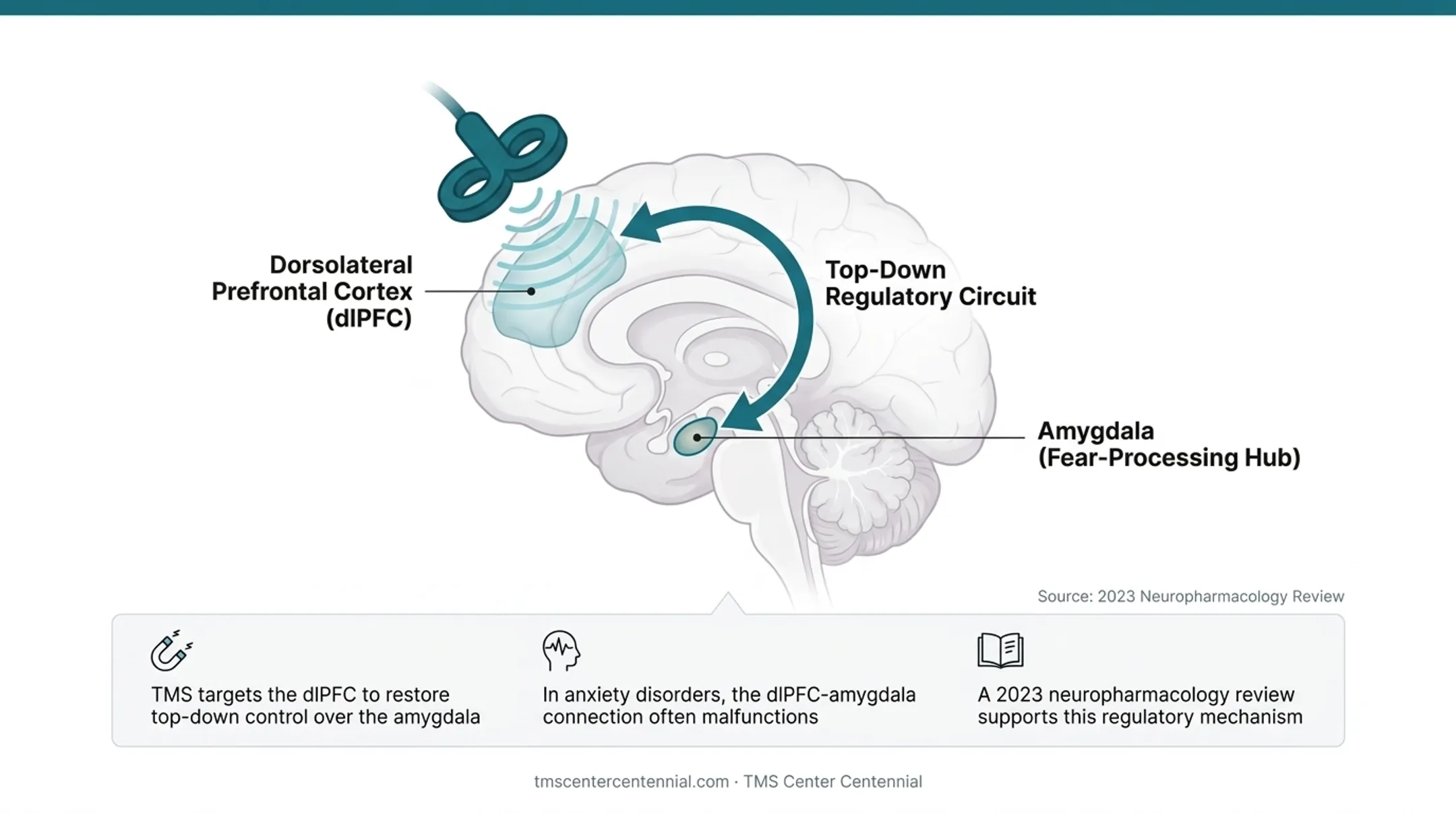 TMS brain stimulation targeting dorsolateral prefrontal cortex and amygdala connection