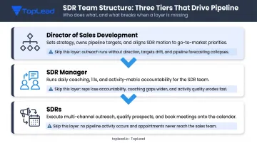 Three-tier SDR team hierarchy structure director manager and reps