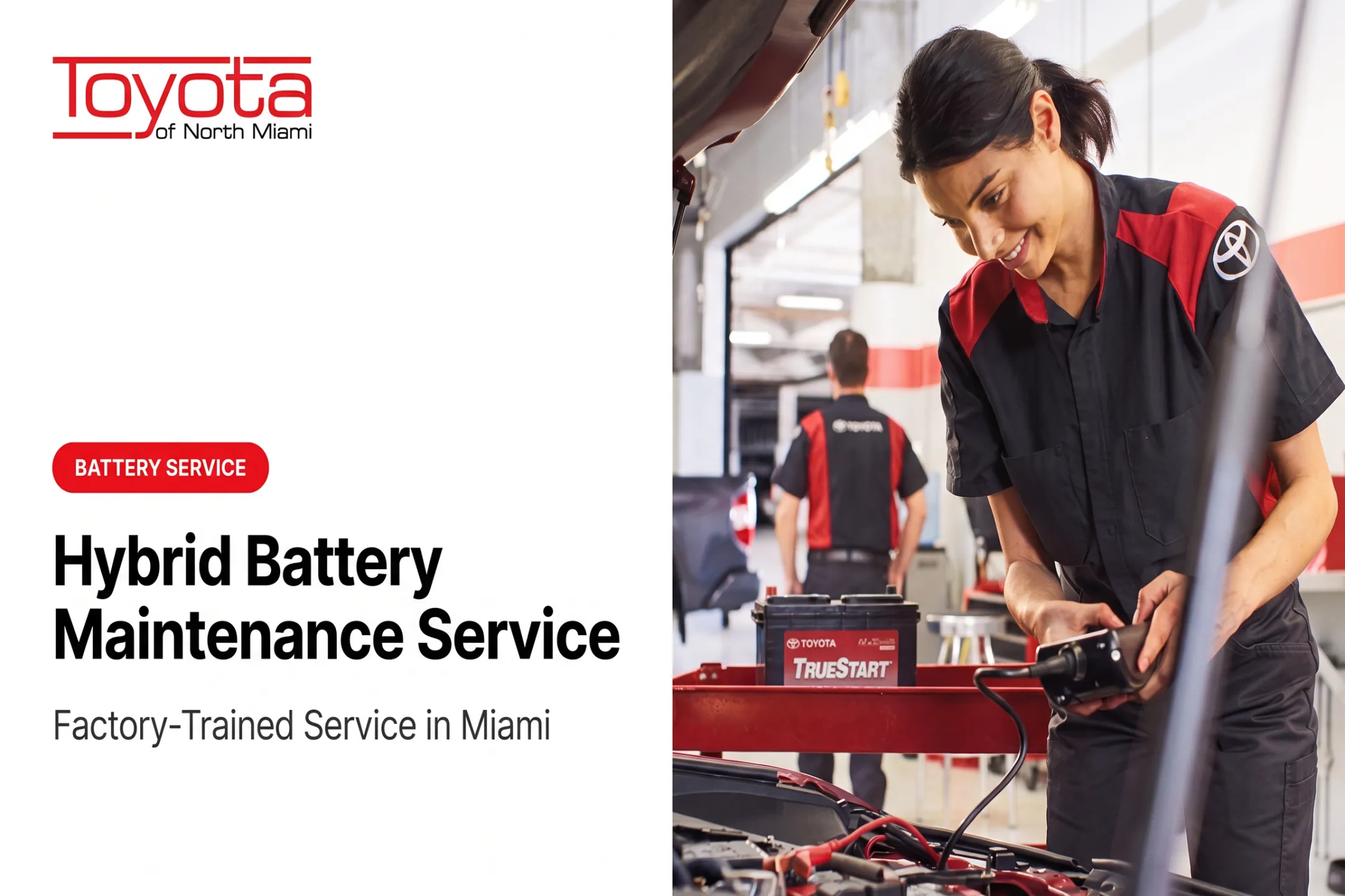 Hybrid Battery Maintenance Service