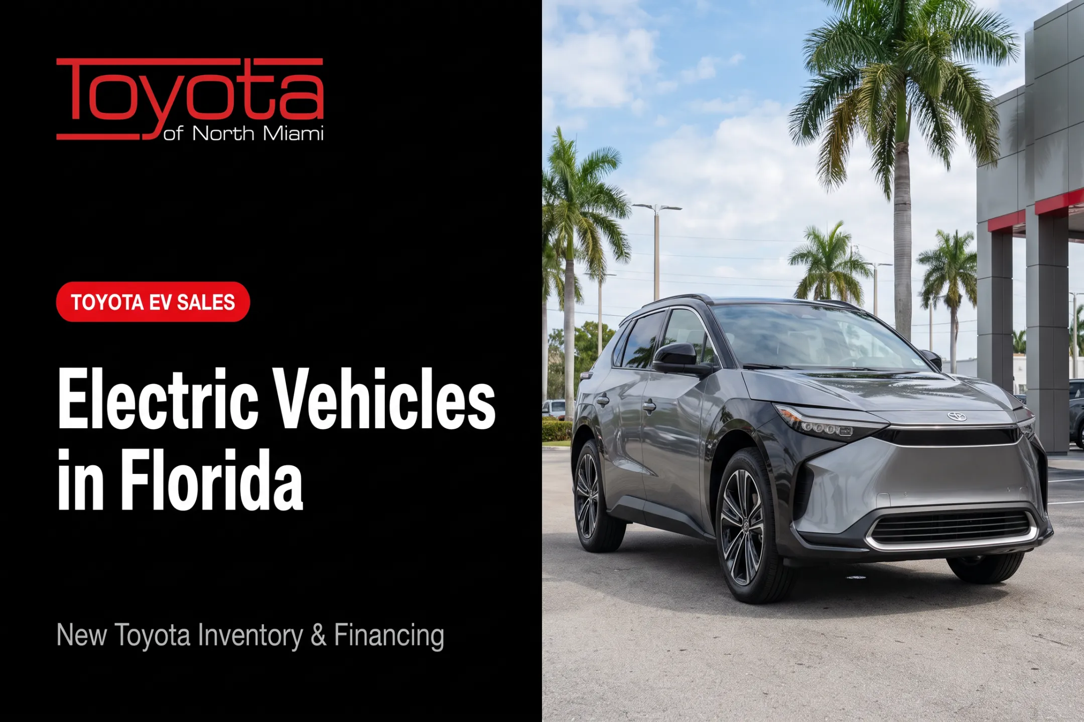 Electric Vehicles in Florida