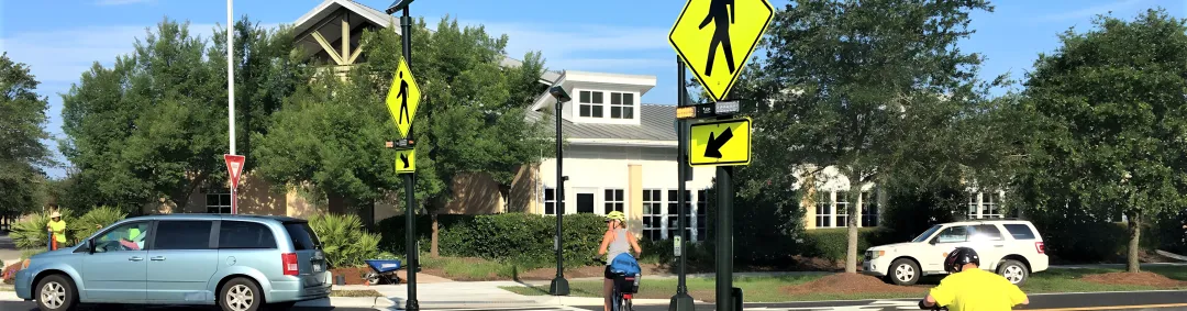 Crosswalk & Illumination Systems | Pedestrian Signal Housing – Polycarbonate
