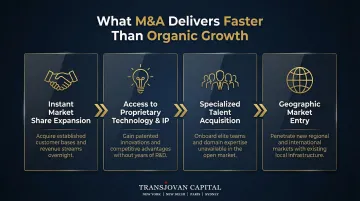 4 M&amp;A growth outcomes faster than organic growth infographic