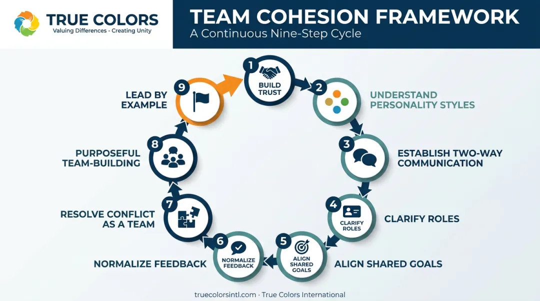 9-step team cohesion building framework process flow diagram