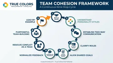 9-step team cohesion building framework process flow diagram