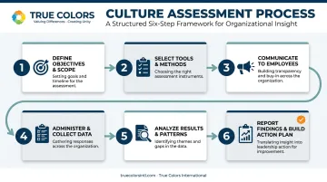6-step organizational culture assessment process from objectives to action plan