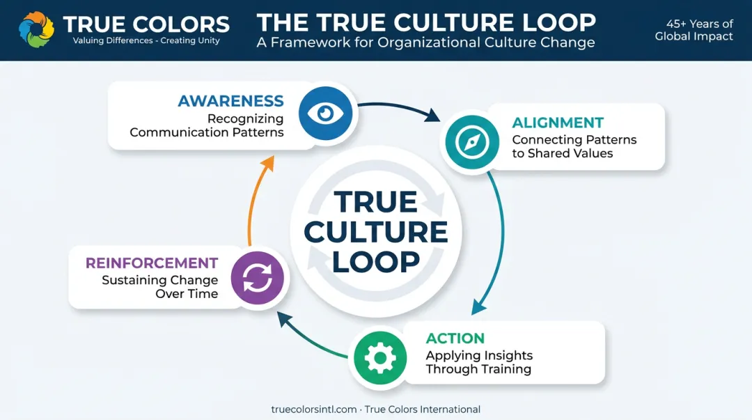 True Culture Loop four-stage continuous framework for lasting culture change