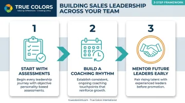 Three-step sales leadership skill development process from assessment to mentoring