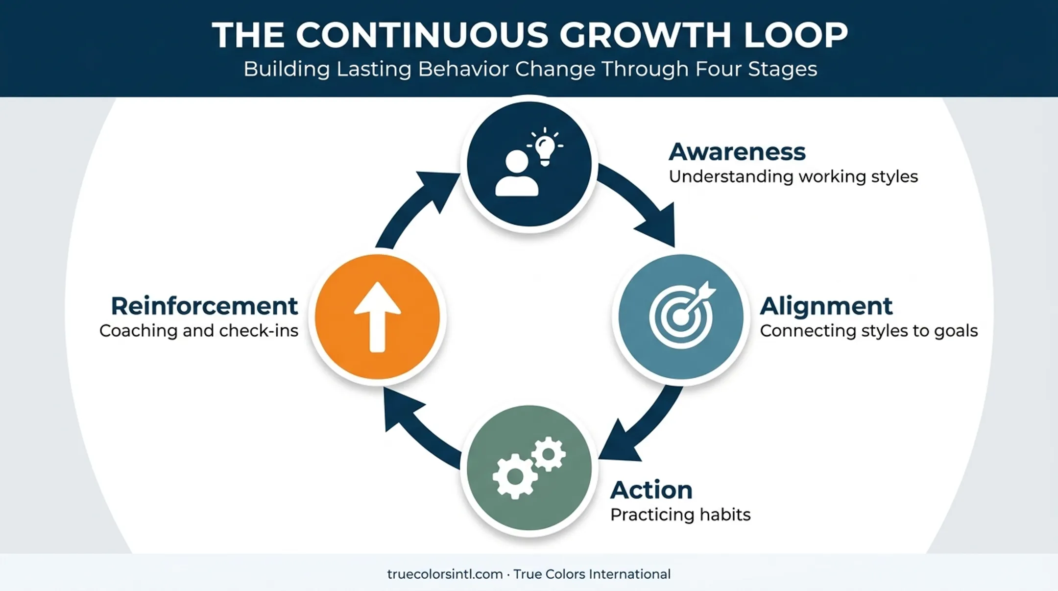 True Culture Loop four-stage continuous team development cycle diagram
