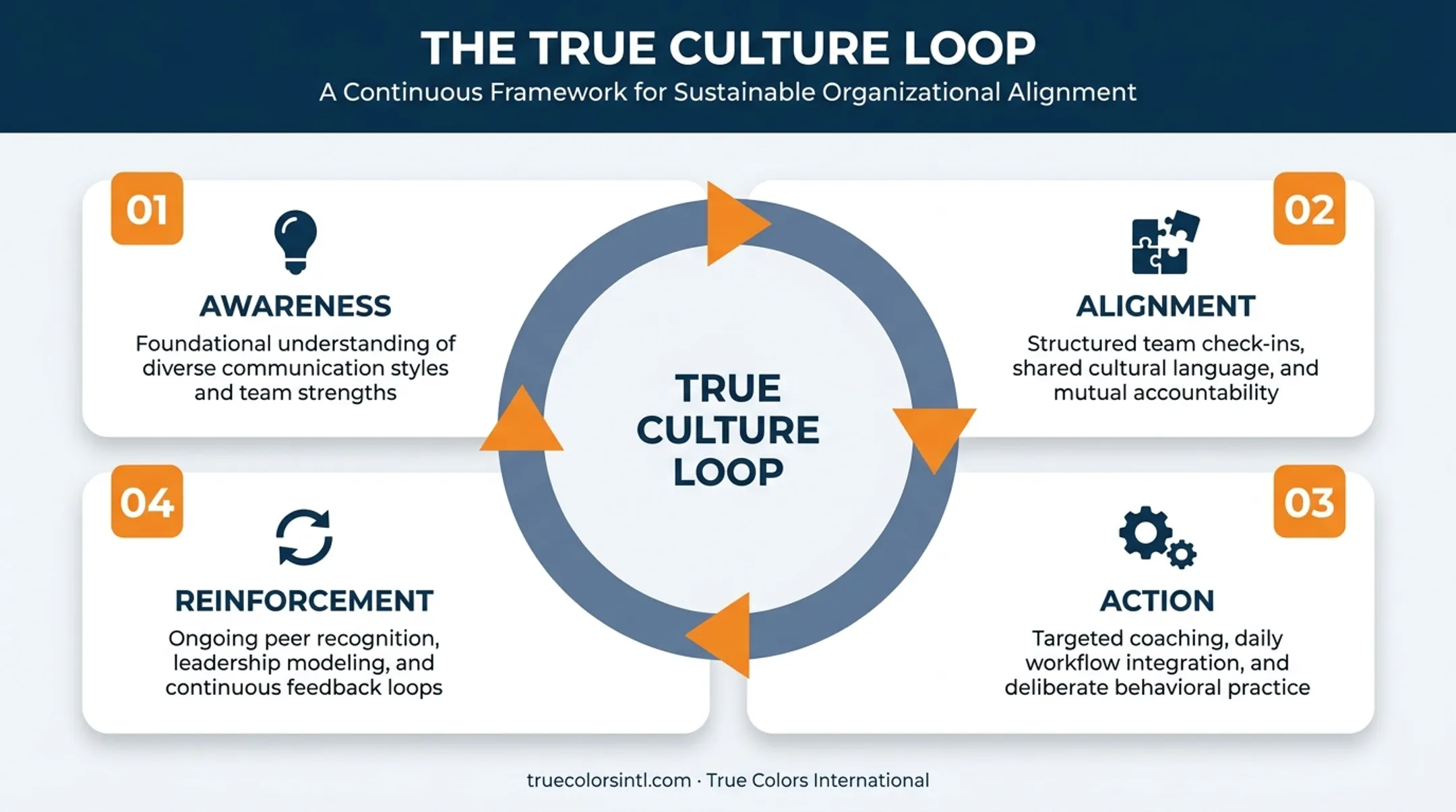 True Culture Loop four-stage cycle from awareness to reinforcement