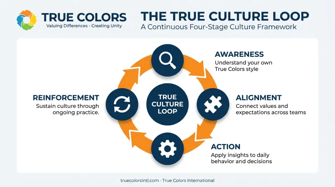 True Culture Loop four-stage cyclical framework for culture change