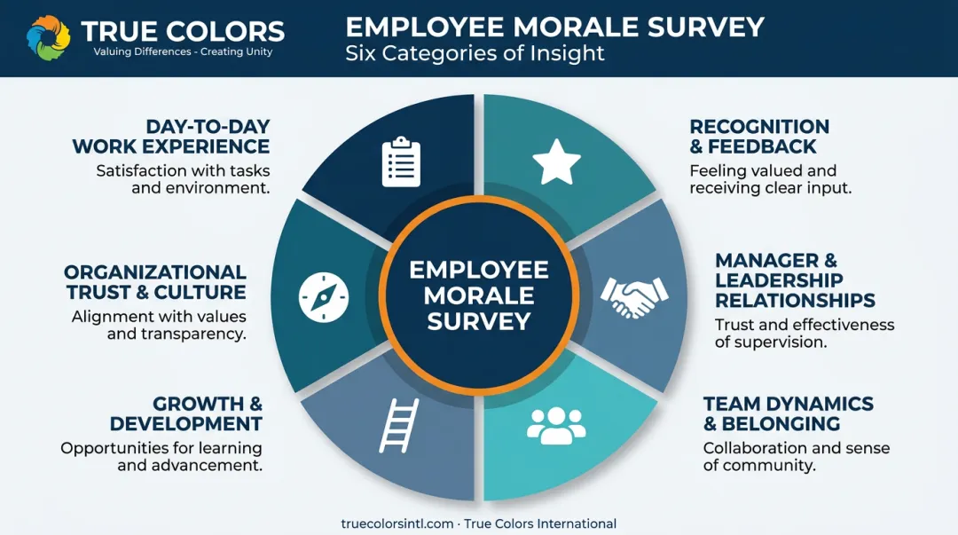 Six categories of employee morale survey questions covering full employee experience