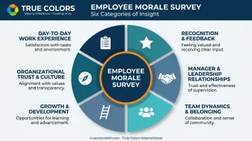 Six categories of employee morale survey questions covering full employee experience
