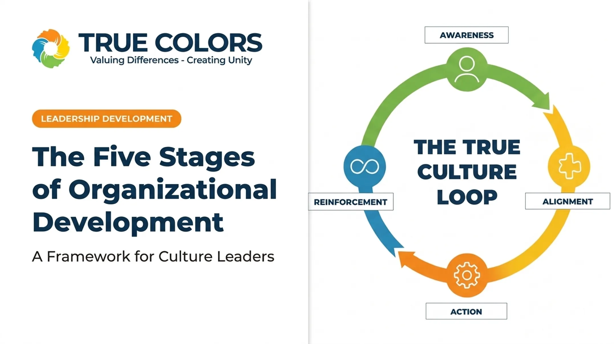 The Five Stages of Organizational Development