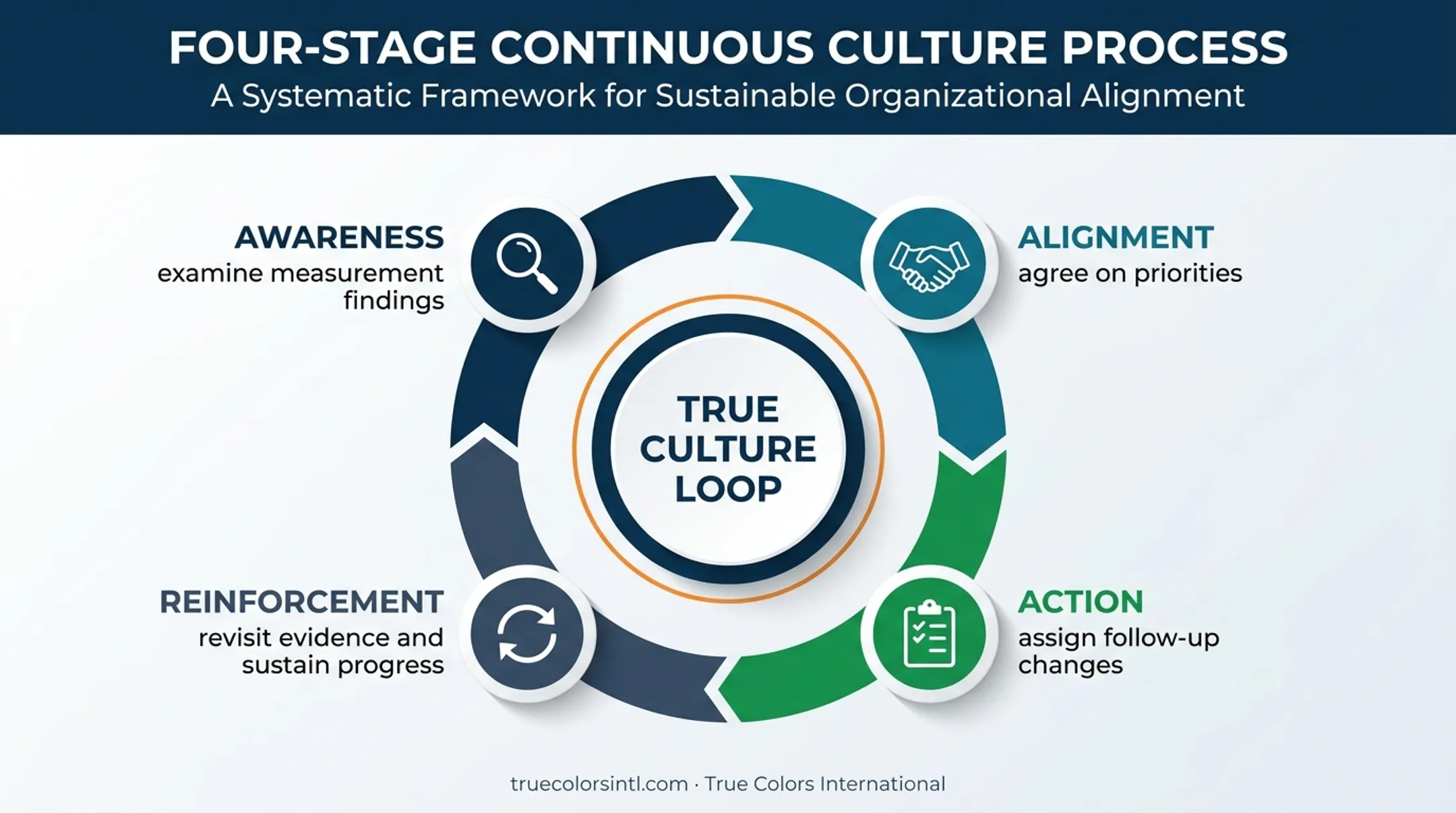 Four-stage True Culture Loop for leadership development measurement