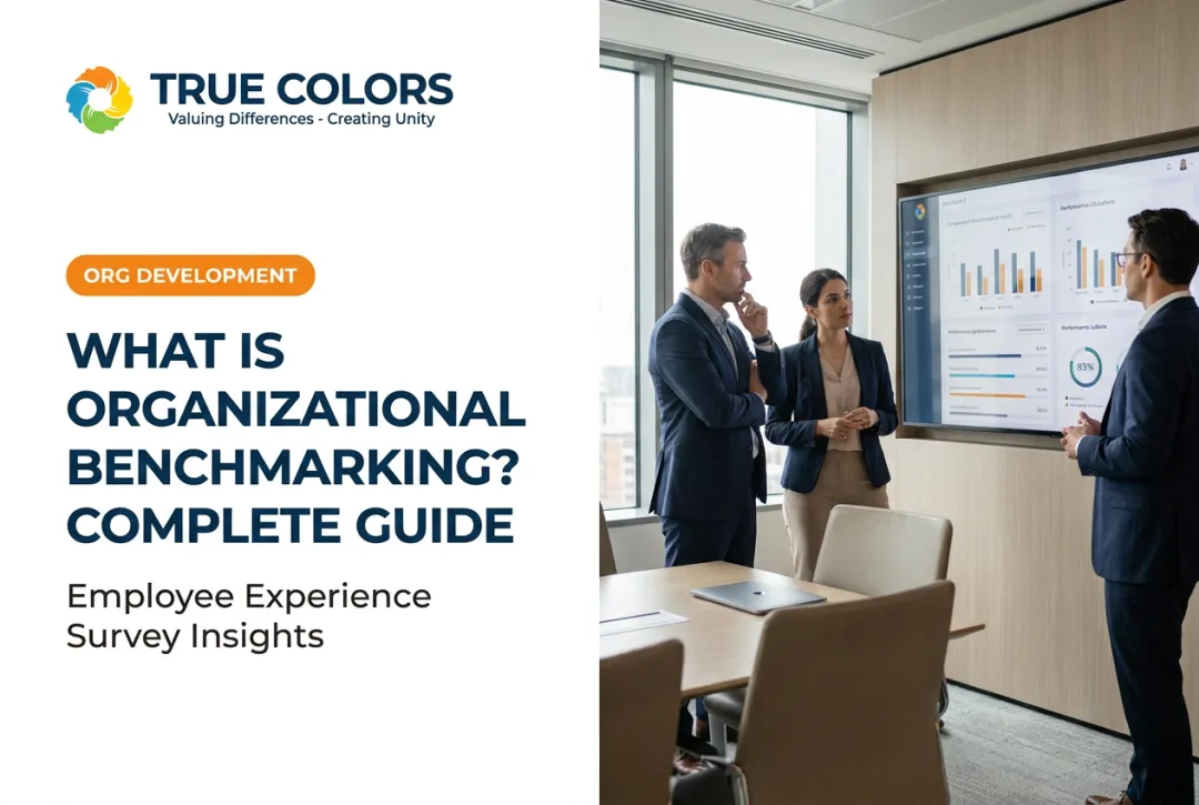 What is Organizational Benchmarking? Complete Guide