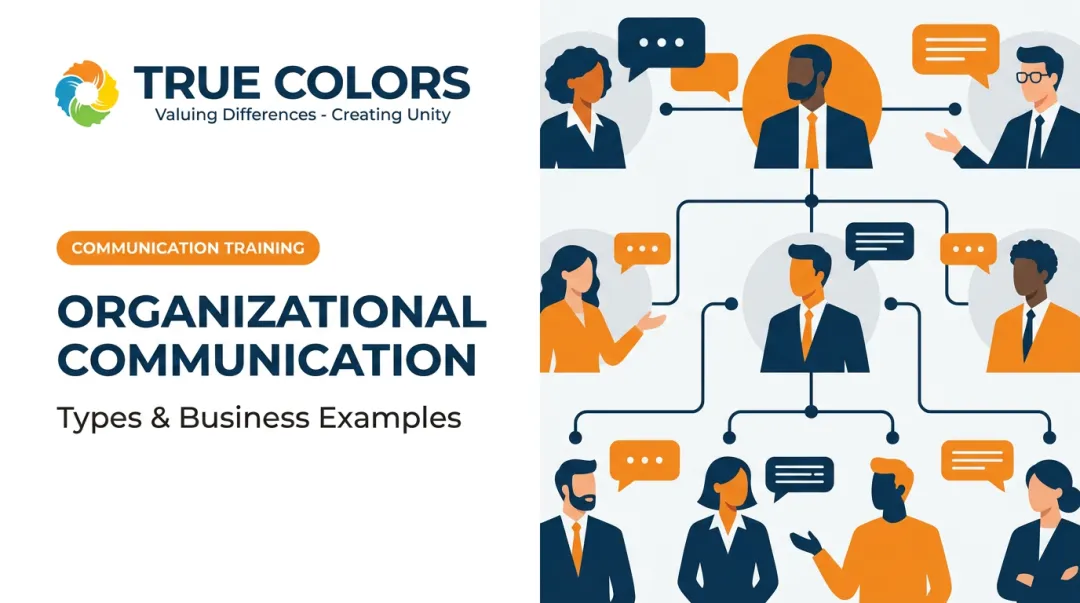 Organizational Communication: Types & Business Examples