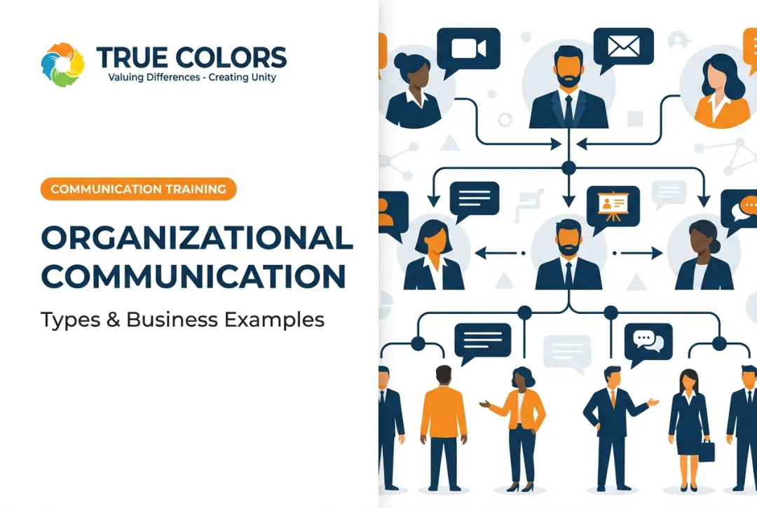 Organizational Communication: Types & Business Examples