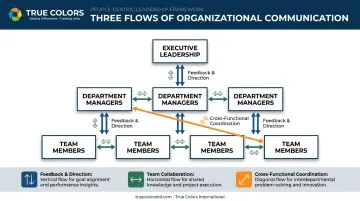 Vertical horizontal and diagonal organizational communication flow diagram