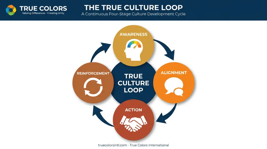 True Culture Loop four-stage cycle for sustainable organizational change