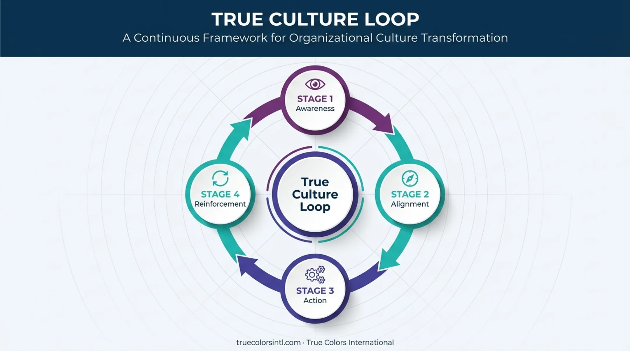 True Culture Loop four-stage framework for reinforcing team culture