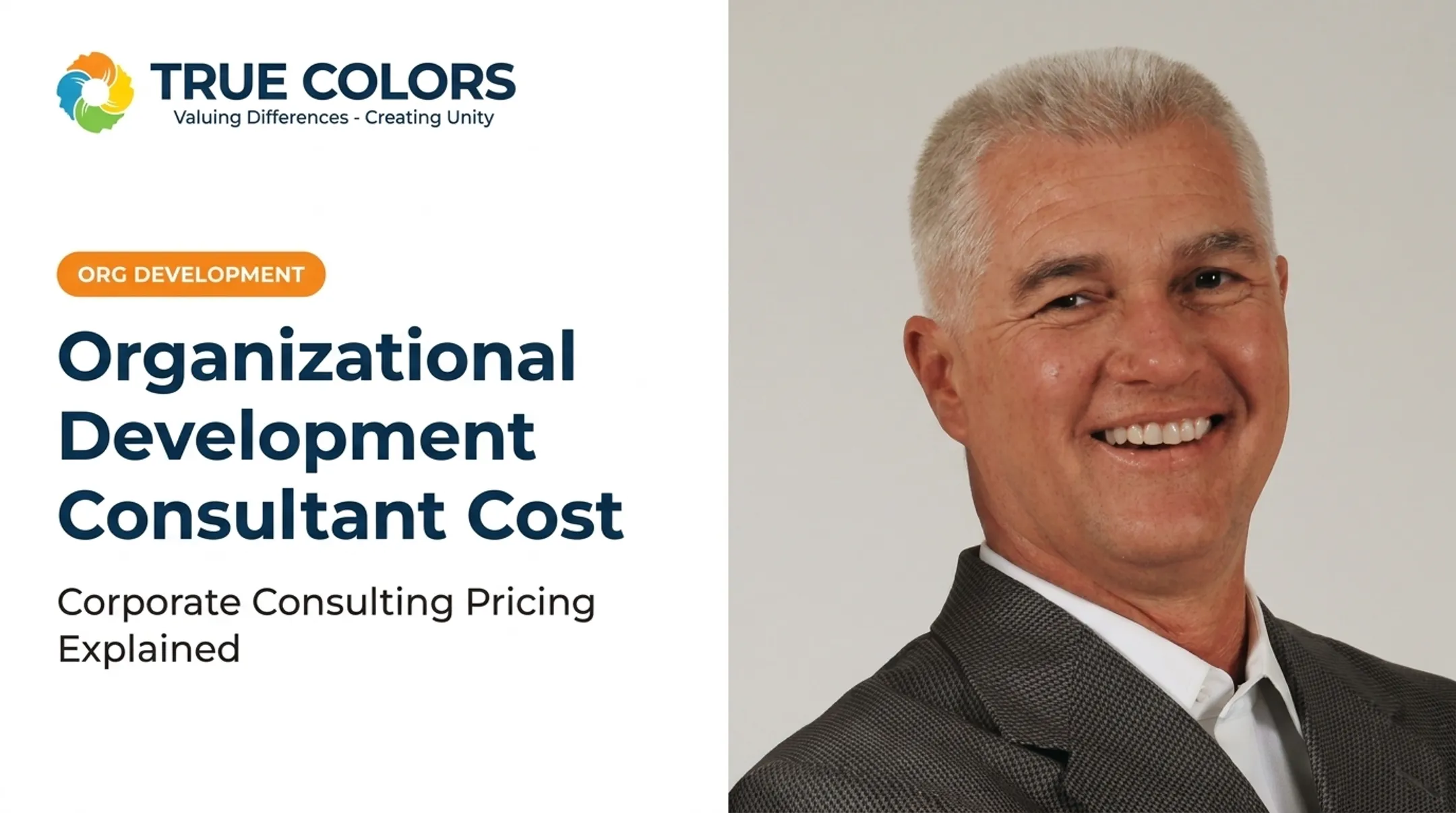 Organizational Development Consultant Cost