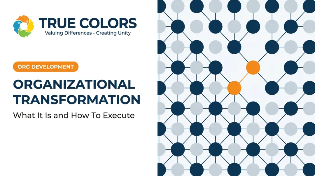 Organizational Transformation: What It Is and How To Execute