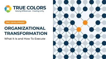 Organizational Transformation: What It Is and How To Execute