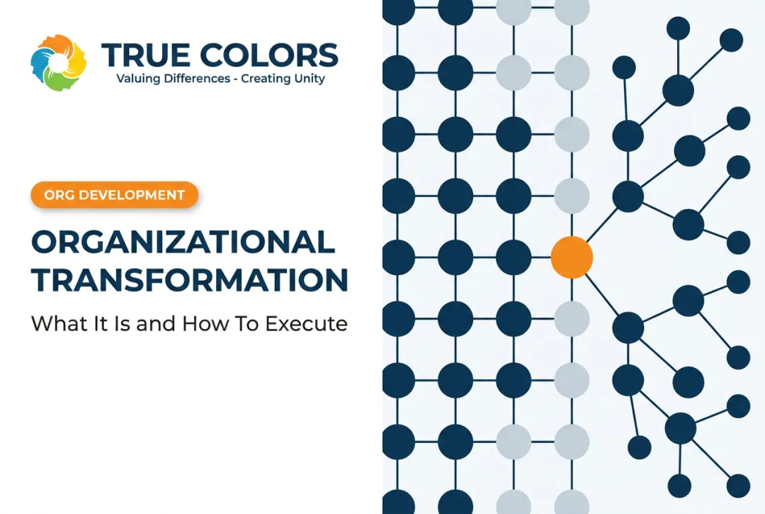 Organizational Transformation: What It Is and How To Execute