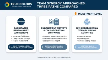 Comparison of three approaches to building team synergy and collaboration