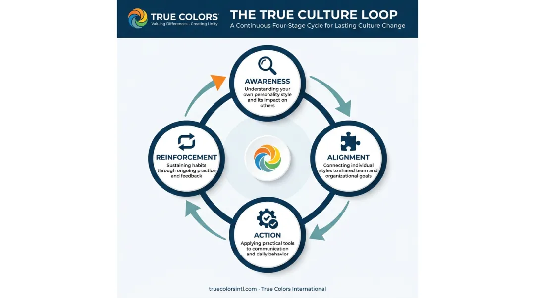 True Culture Loop four-stage cycle for culture change framework