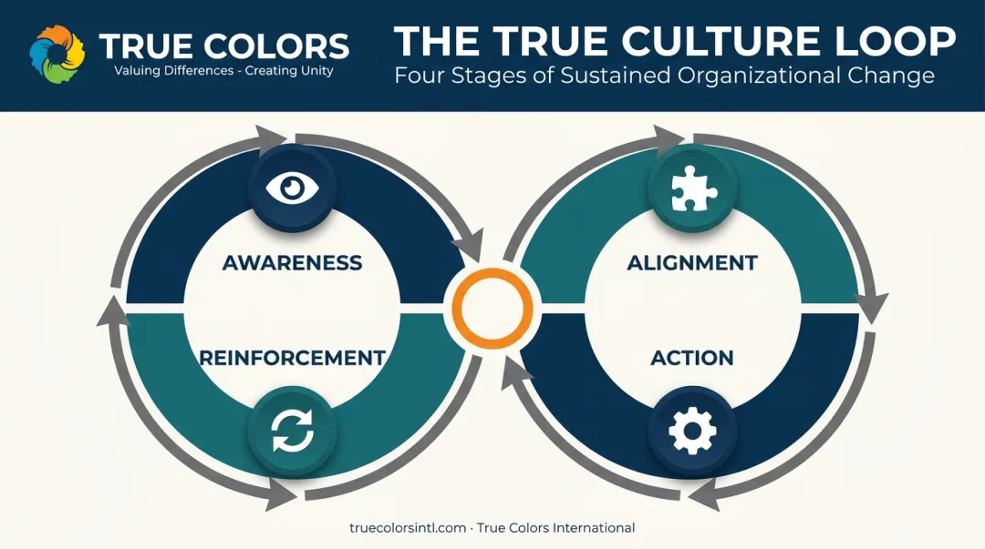 True Culture Loop four-stage continuous leadership development cycle diagram