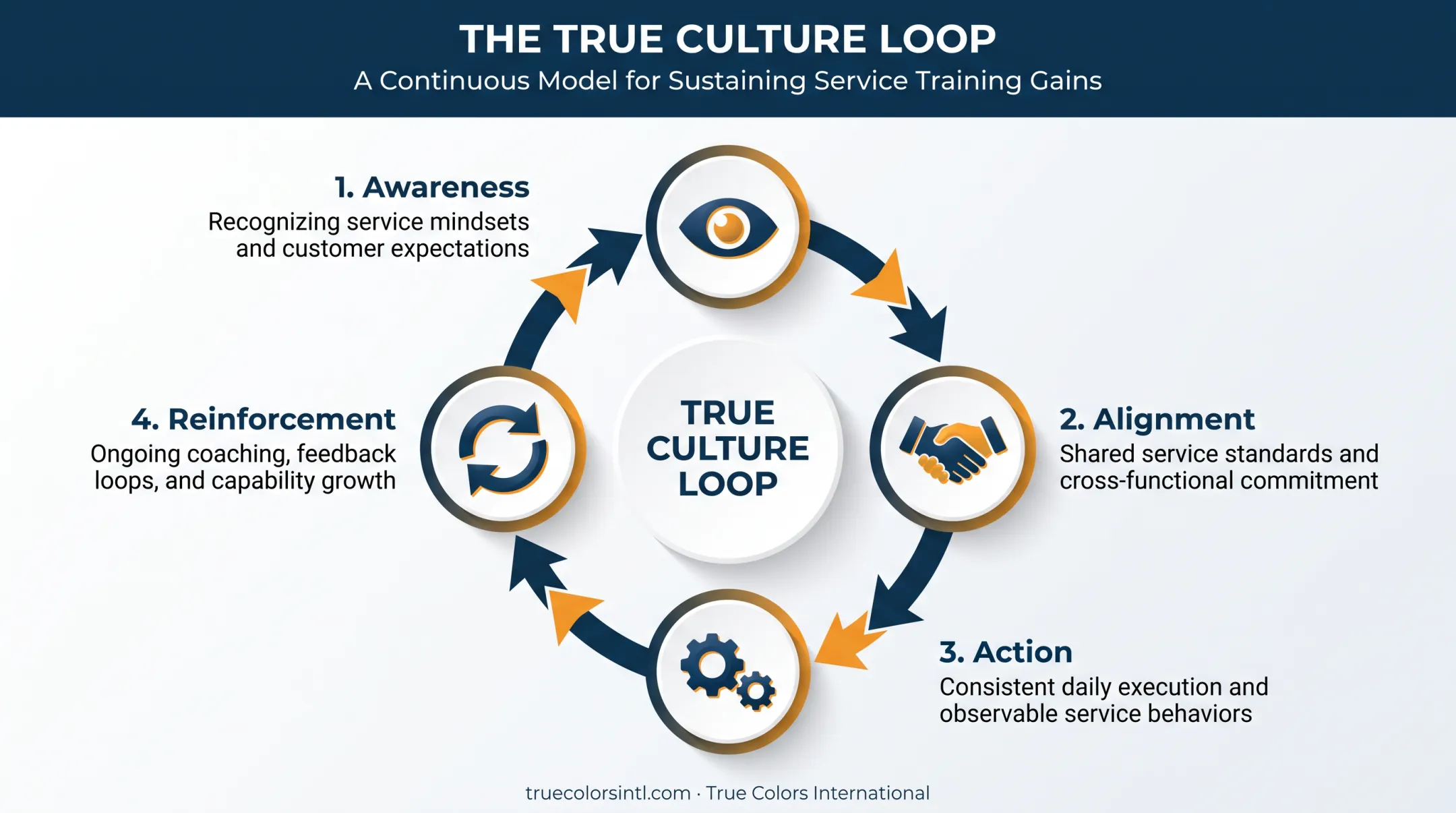 Four-stage True Culture Loop cycle for sustaining service training gains