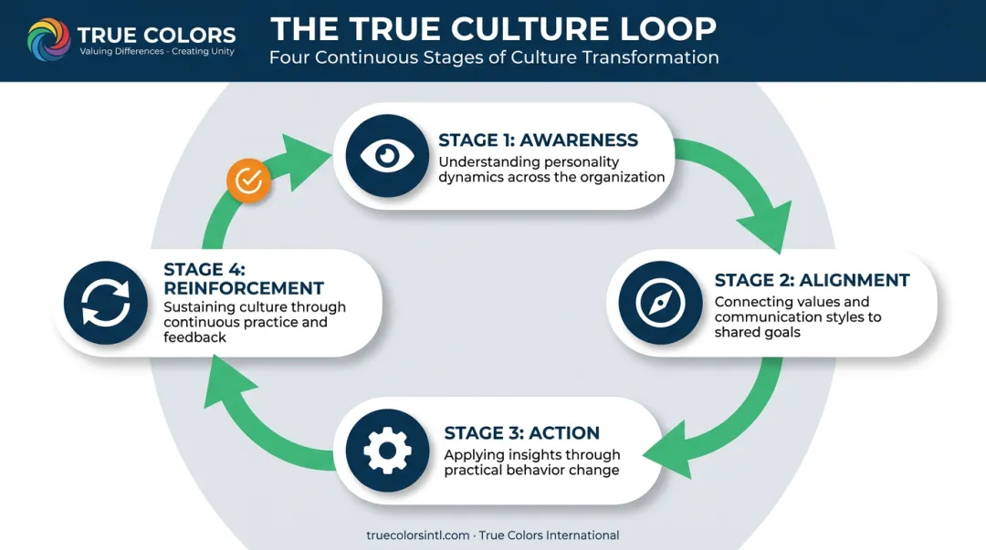 True Culture Loop four-stage framework Awareness Alignment Action Reinforcement diagram