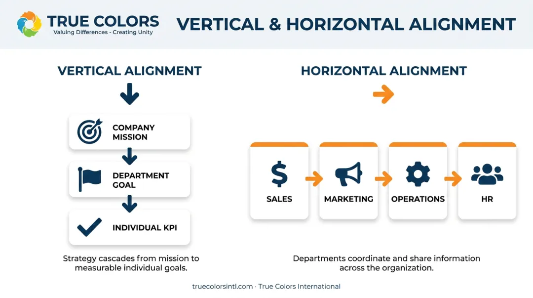 Vertical versus horizontal organizational alignment comparison diagram with examples