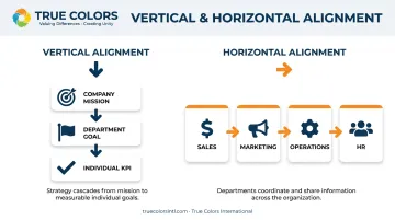 Vertical versus horizontal organizational alignment comparison diagram with examples
