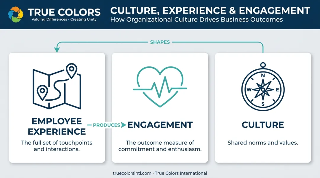 Employee experience versus engagement versus culture comparison diagram
