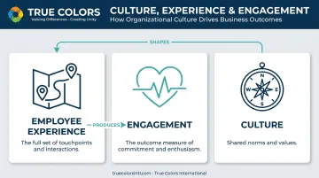 Employee experience versus engagement versus culture comparison diagram