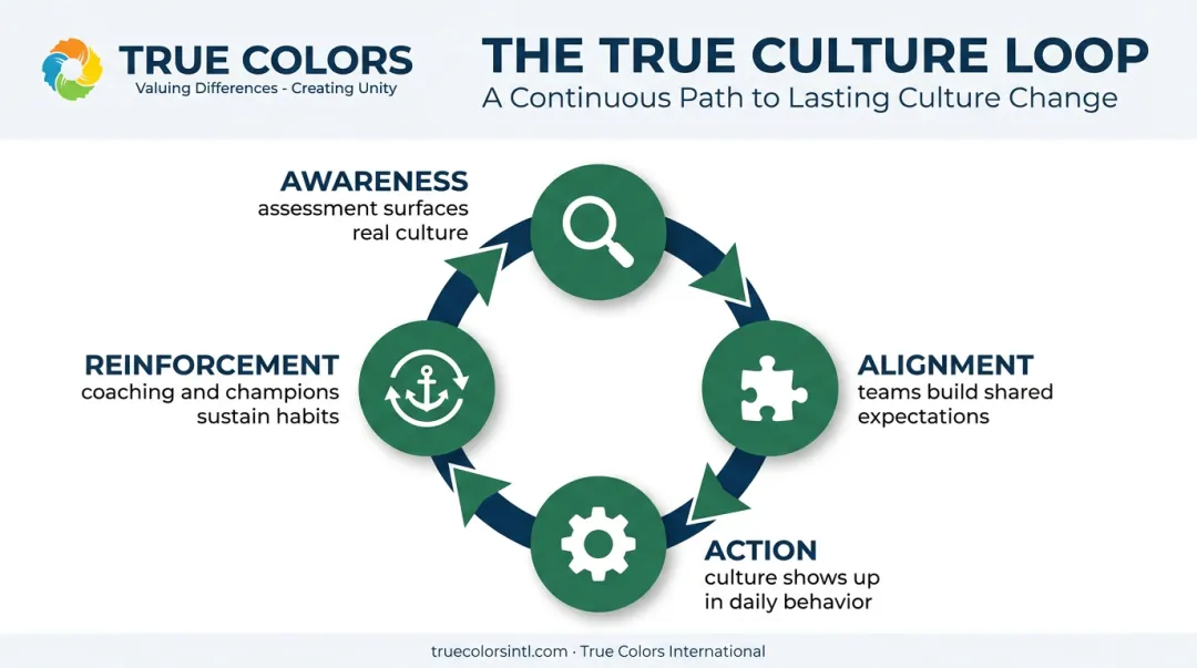 True Culture Loop four-stage cycle for sustaining workplace culture change