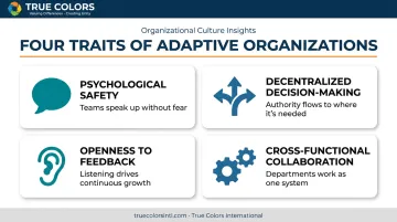 Four key traits of adaptive organizational culture icon grid