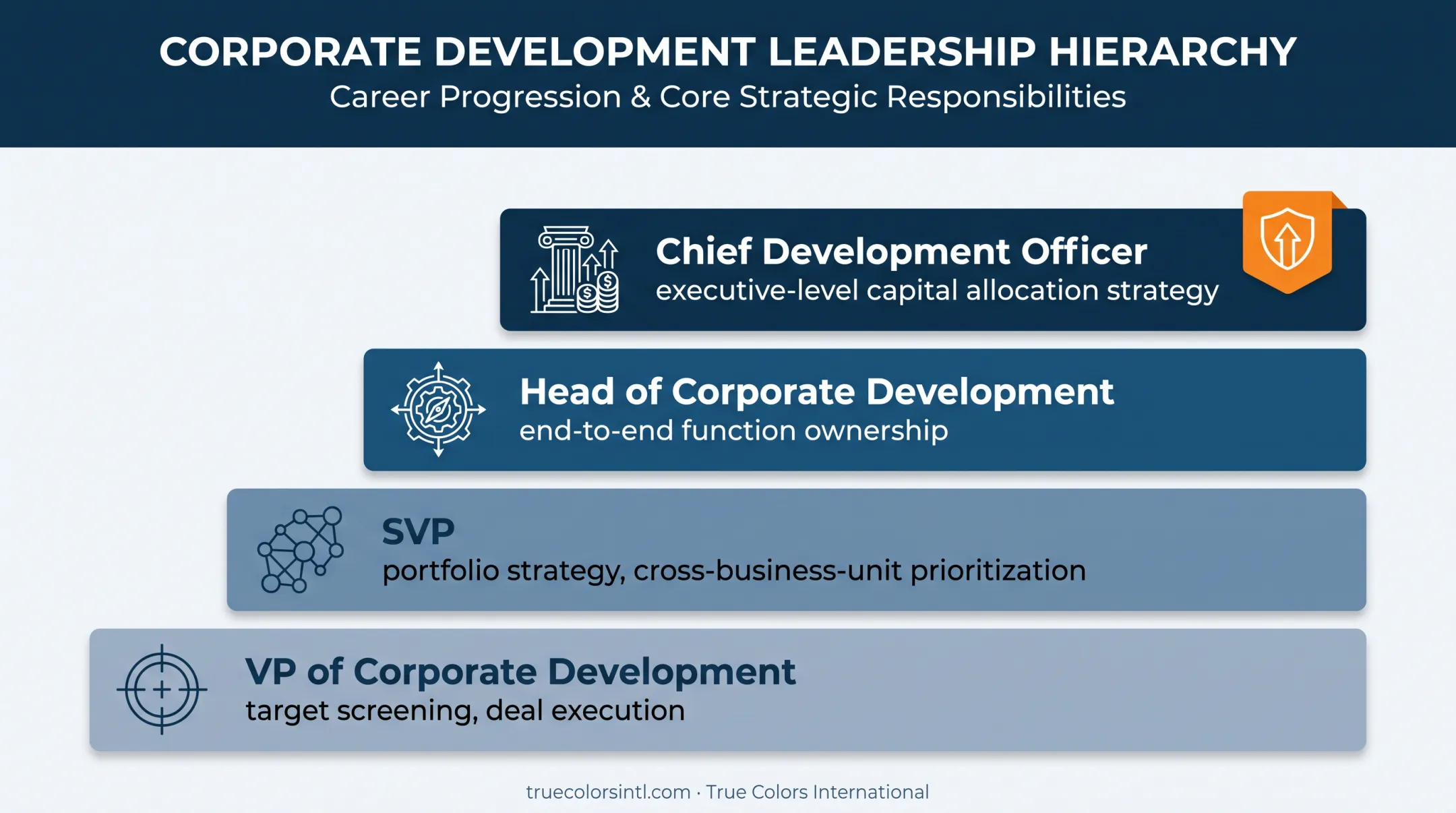 Corporate development leadership hierarchy from VP to Chief Development Officer