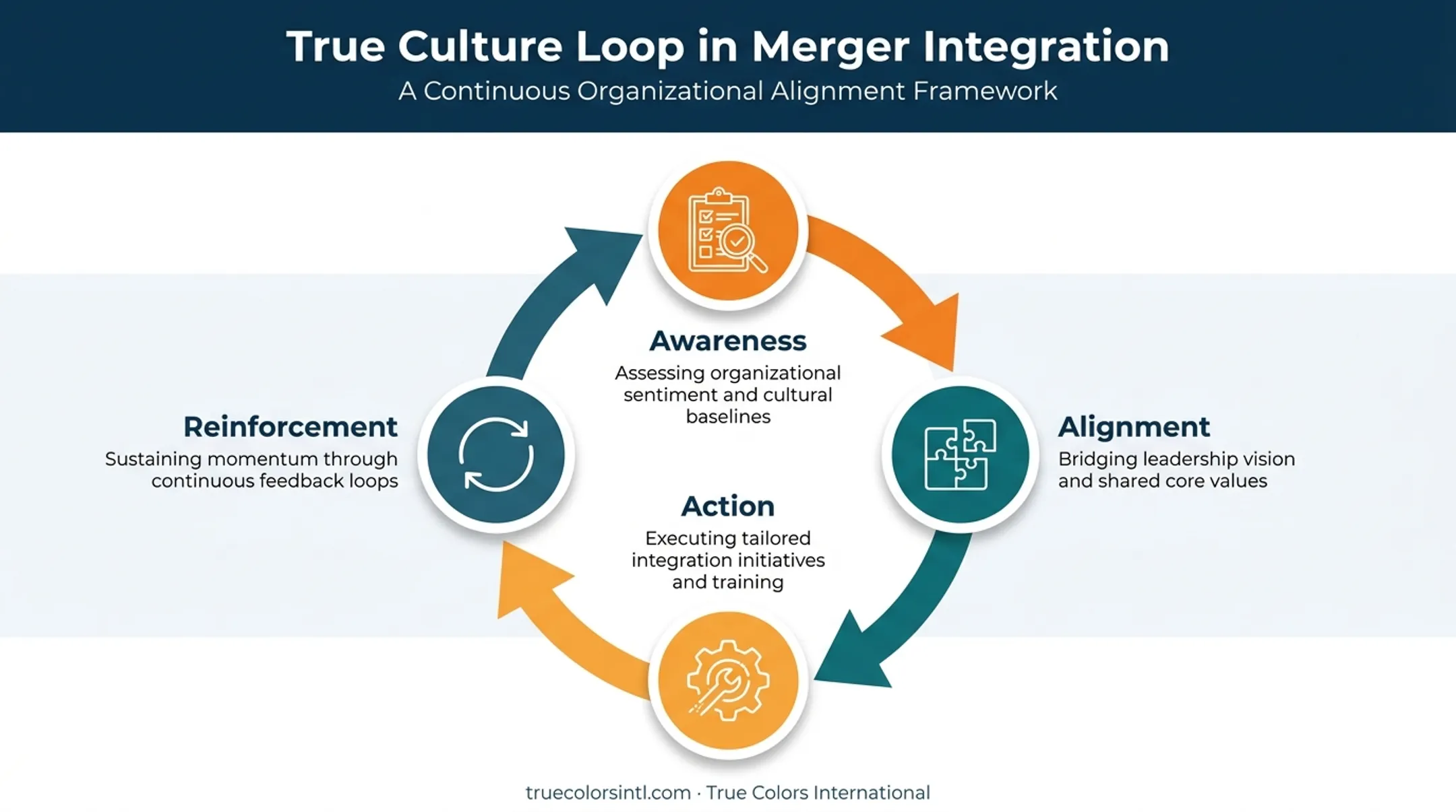 True Culture Loop four-stage merger integration framework diagram